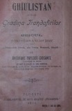 GHIULSTAN ADICA GRADINA TRANDAFIRILOR