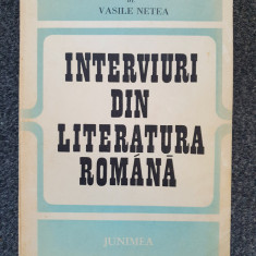 INTERVIURI DIN LITERATURA ROMANA - Vasile Netea