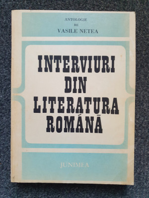 INTERVIURI DIN LITERATURA ROMANA - Vasile Netea foto