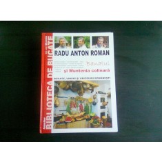 BANATUL SI MUNTENIA COLINARA - RADU ANTON ROMAN