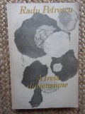 Radu Petrescu - A treia dimensiune
