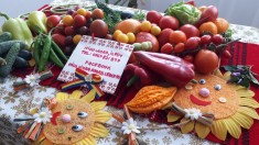 Vand rasad ardei, rosii, castraveti, vinete, varza | Rasaduri Legume 2025