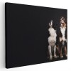 Tablou doi caini uitandu-se in sus Tablou canvas pe panza CU RAMA 60x80 cm