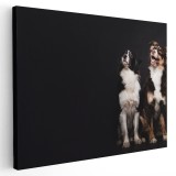 Tablou doi caini uitandu-se in sus Tablou canvas pe panza CU RAMA 50x70 cm
