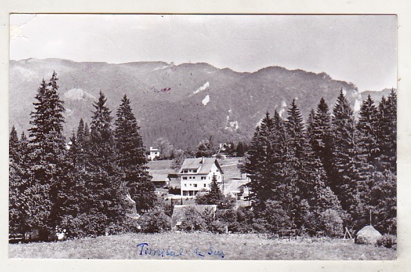 bnk cp Timisul de Sus - Vedere spre Piatra Mare - uzata