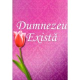 Bediuzzaman Said Nursi - Dumnezeu Exista. A 23-a Stralucire din