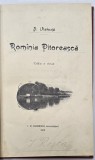 ROMANIA PITOREASCA de A. VLAHUTA , EDITIA A DOUA , 1902