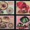 SIERRA LEONE 2000 - Ciuperci / serie completa MNH (cota Michel 12&euro;)