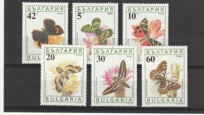 Fauna,fluturi,Bulgaria. foto