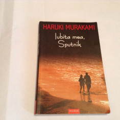 Iubita mea, Sputnik de Haruki Murakami--RF15/3