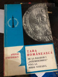 Tara Romaneasca de la Basarab I &#039;&#039;intemeietorul&#039;&#039; pana la Mihai Viteazul - Stefan Stefanescu