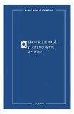 Dama de pică și alte povestiri (Vol. 47) - Hardcover - Aleksandr Sergheevici Puşkin - Litera