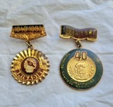 Insigne Brigadier UTC - Santierele Nationale ale Tineretului 1983 si 1988