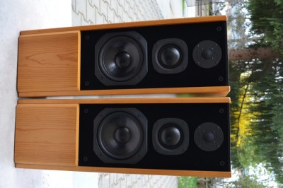 Boxe Pilot ST 303 foto