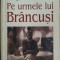SERGE FAUCHEREAU-PE URMELE LUI BRANCUSI/1999/tr.SERBAN VELESCU/pref.EUGEN SIMION