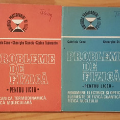 Probleme de fizica pentru liceu - Gabriela Cone (vol. 1 + 2)