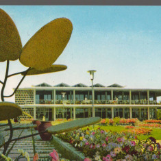 CPI B14619 - CARTE POSTALA - MAMAIA. HOTEL "MAMAIA", RPR