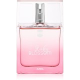 Ajmal Ruby Blossom Eau de Parfum pentru femei 50 ml