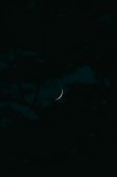 Tablou Canvas, "Semiluna pe cerul ad&acirc;nc al nopții", Crescent, Night, Sky, Darkness, Mystery, 26 x 39 cm, CMCLASS