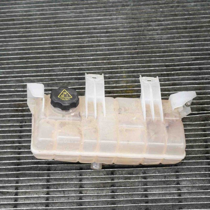 Vas de expansiune TESLA MODEL S 2017 OEM: 1036124-00-C 4082423