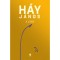 A gyerek - H&aacute;y J&aacute;nos
