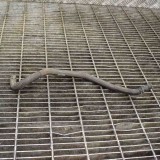 Furtun Lichid Racire Toyota Verso R2 2013 Original