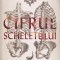 Cifrul scheletului - Brian Switek