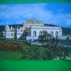 HOPCT 36096 PAVILIONUL CENTRAL -VATRA DORNEI IN 1987 -JUD SUCEAVA -CIRCULATA