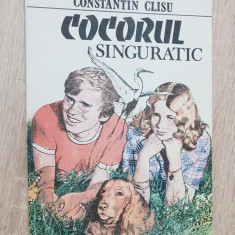 Cocorul singuratic - Constantin Clisu (ilustrații Ana Maria Buzea)