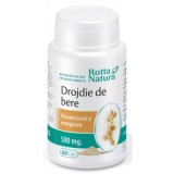 Drojdie de Bere 500mg Rotta Natura 60cps