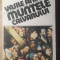 MUNTELE CALVARULUI-VASILE ANDRU-93278