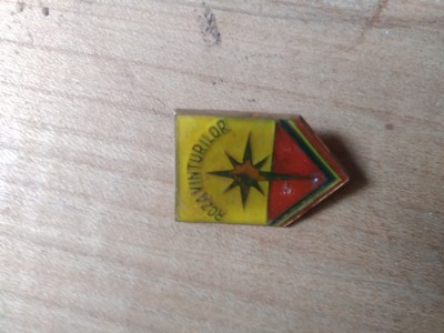 Insigne Pionieri Roza vanturilor foto