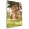 Tablou caine Golden Retriever Tablou canvas pe panza CU RAMA 70x100 cm
