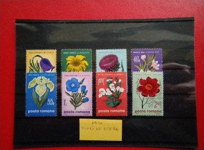 1970 - FLORI DE STEPA foto