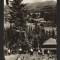 CPIB 21475 - CARTE POSTALA - COLIBITA. VEDERE DIN STATIUNE