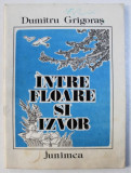 INTRE FLOARE SI IZVOR de DUMITRU GRIGORAS . ilustratii de GEORGE SCUTARU , 1986