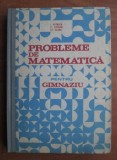 Ion Petrica, Stefan, Alexe - Probleme de matematica pentru gimnaziu - impecabila
