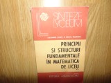 Principii si structuri fundamentale in matematica de liceu - Alexandru Leonte