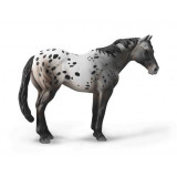 Figurina pictata manual cal Appaloosa Blue Roan, Collecta