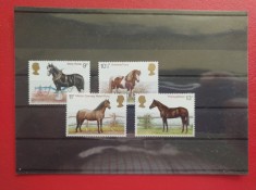 ANGLIA - MNH foto