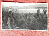 Fotografie tip carte postala, ministrul V. Nitescu in vizita de lucru la pepiniera Dezmir, 1933