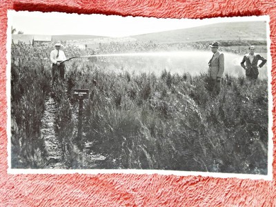 Fotografie tip carte postala, ministrul V. Nitescu in vizita de lucru la pepiniera Dezmir, 1933 foto