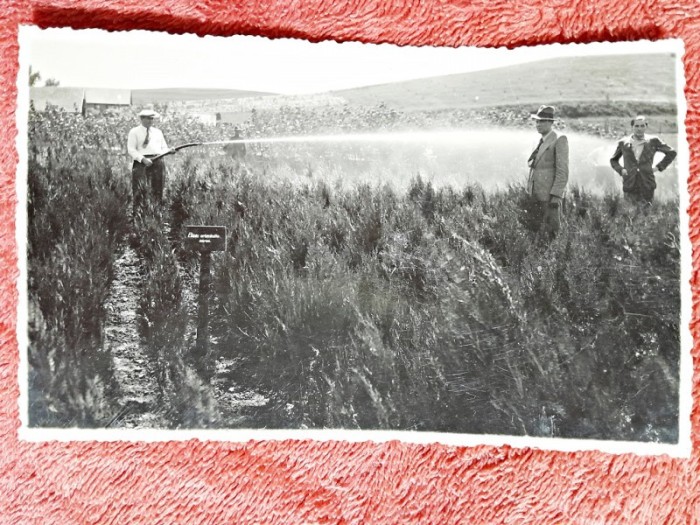 Fotografie tip carte postala, ministrul V. Nitescu in vizita de lucru la pepiniera Dezmir, 1933