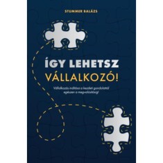&Iacute;gy lehetsz v&aacute;llalkoz&oacute;! - V&aacute;llalkoz&aacute;s ind&iacute;t&aacute;sa a kezdeti gondolatt&oacute;l eg&eacute;szen a megval&oacute;s&iacute;t&aacute;sig! - Stummer Bal&aacute;zs