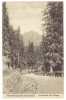 2540 - TULGHES, Harghita, Mountain, Romania - old postcard - unused - 1917, Necirculata, Printata