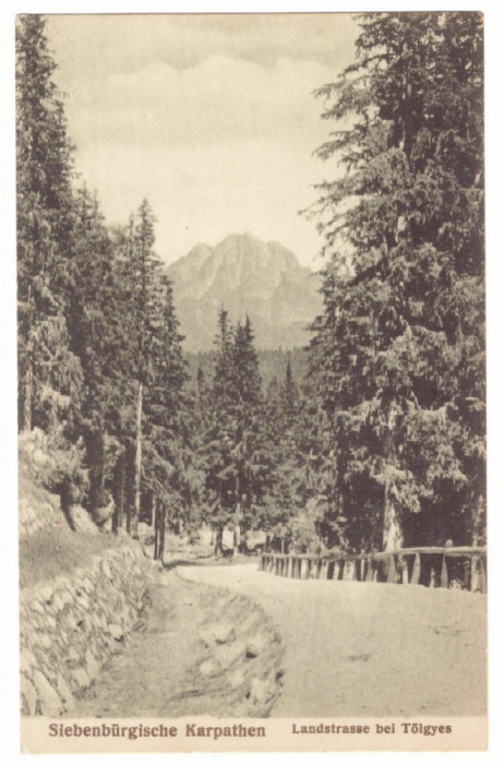 2540 - TULGHES, Harghita, Mountain, Romania - old postcard - unused - 1917