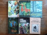 Lot 10 carti despre vanatoare - Jianu, Ionel Pop, Cristoveanu / R7P3F, Alta editura