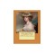 Evelina: Or the History of a Young Lady&#039;s Entrance Into the World (1778) Novel By: Frances Burney