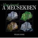 N&eacute;gy &eacute;vszak a Mecsekben - M&uuml;ller N&aacute;ndor