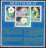 DB1 Montserrat Flora Flori MS MNH, Nestampilat